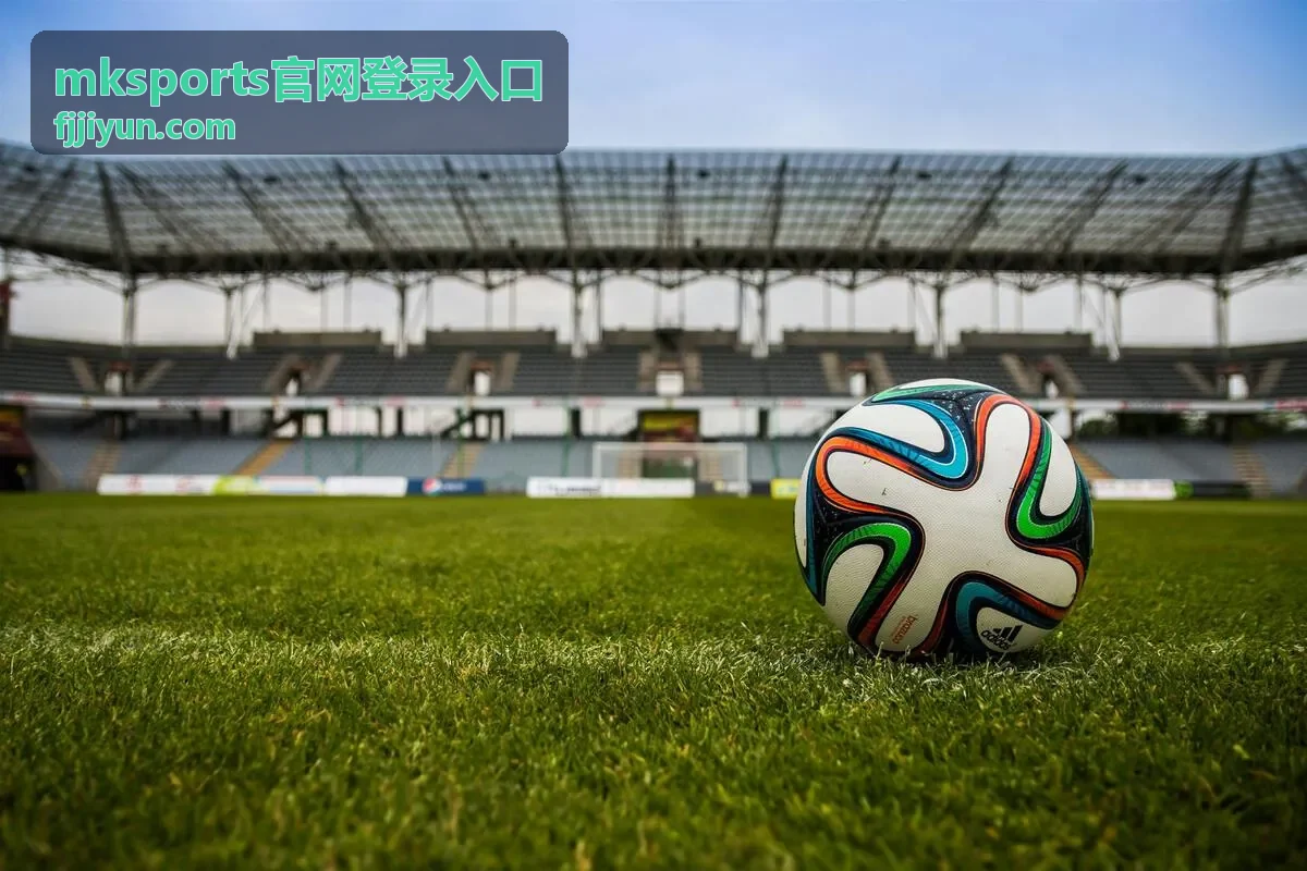 mksports官网登录入口账号安全自查页面示意图