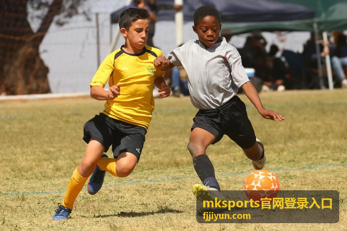 mksports官网登录入口核对通道来源的操作示意