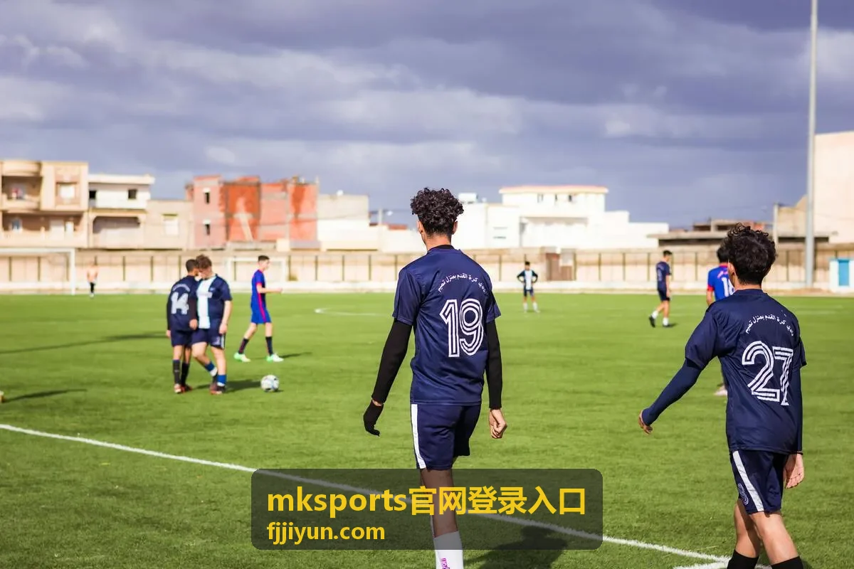 mksports官网登录入口电脑浏览器通道说明