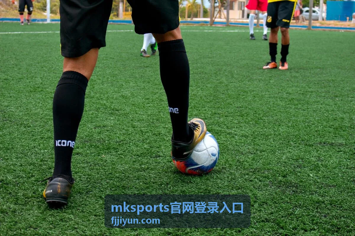 mksports官网登录入口手机端快捷通道操作