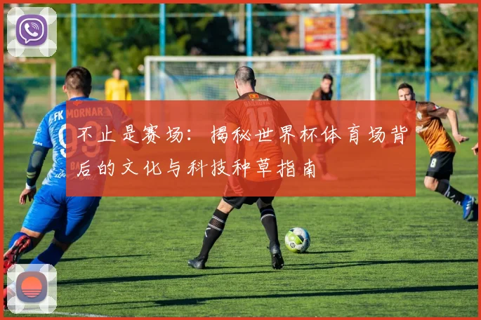 不止是赛场：揭秘世界杯体育场背后的文化与科技种草指南